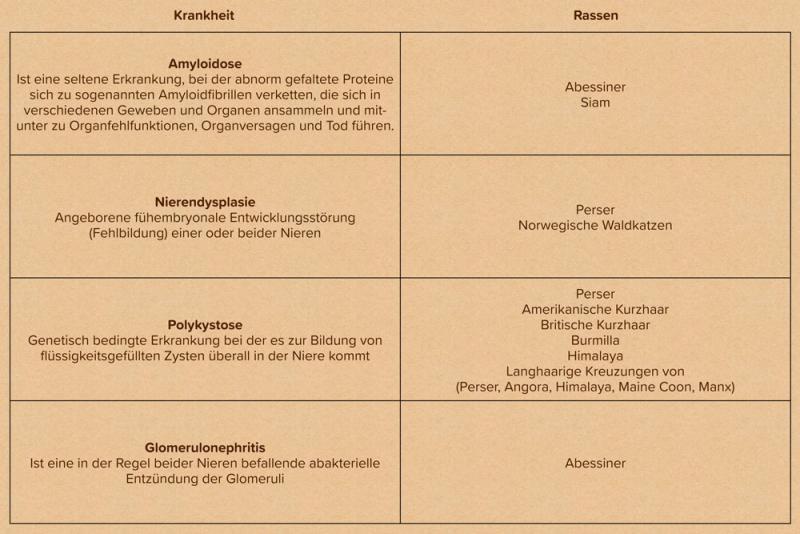 Tabelle: Katzenrassen und ihre Anfälligkeit auf Nierenerkrankungen
