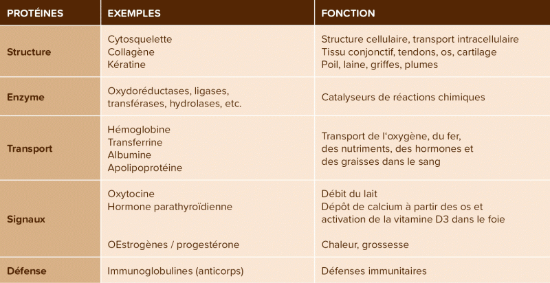 Liste tabulaire des tâches relatives aux protéines brutes